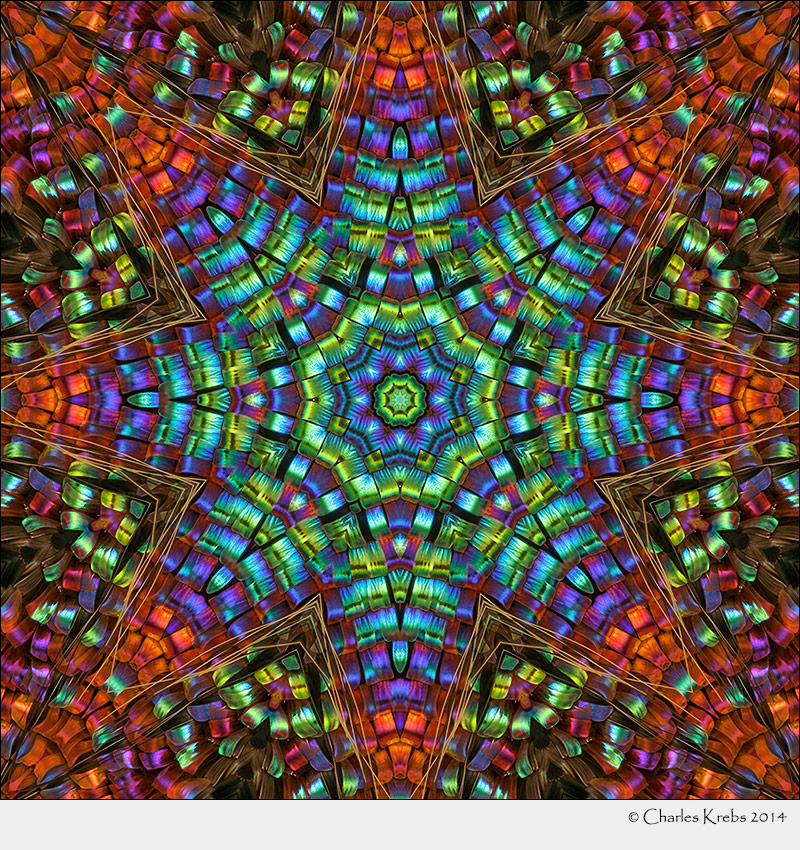 A few kaleidoscopes - www.photomacrography.net