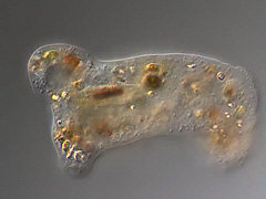 wpcc74e688_0f.jpg